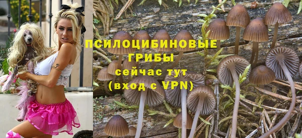 герыч Вязники