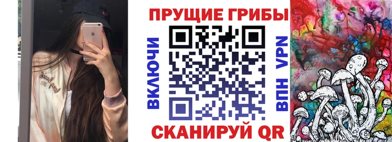 Купить где  Кинель  Галлюциногенные грибы MAGIC MUSHROOMS 
